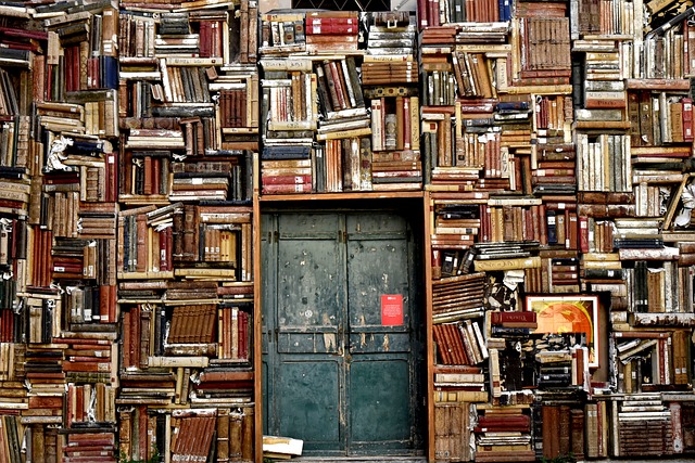 Ontdek de wereld van boeken: literaire genres, kritieken, hun geschiedenis en het creatieproces